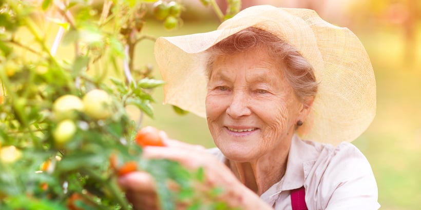 Highgate at Flagstaff’s Growing Groceries Program Helps Residents Thrive