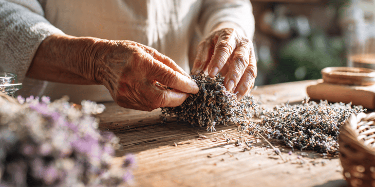 Sensory Wellness and The Aging Brain