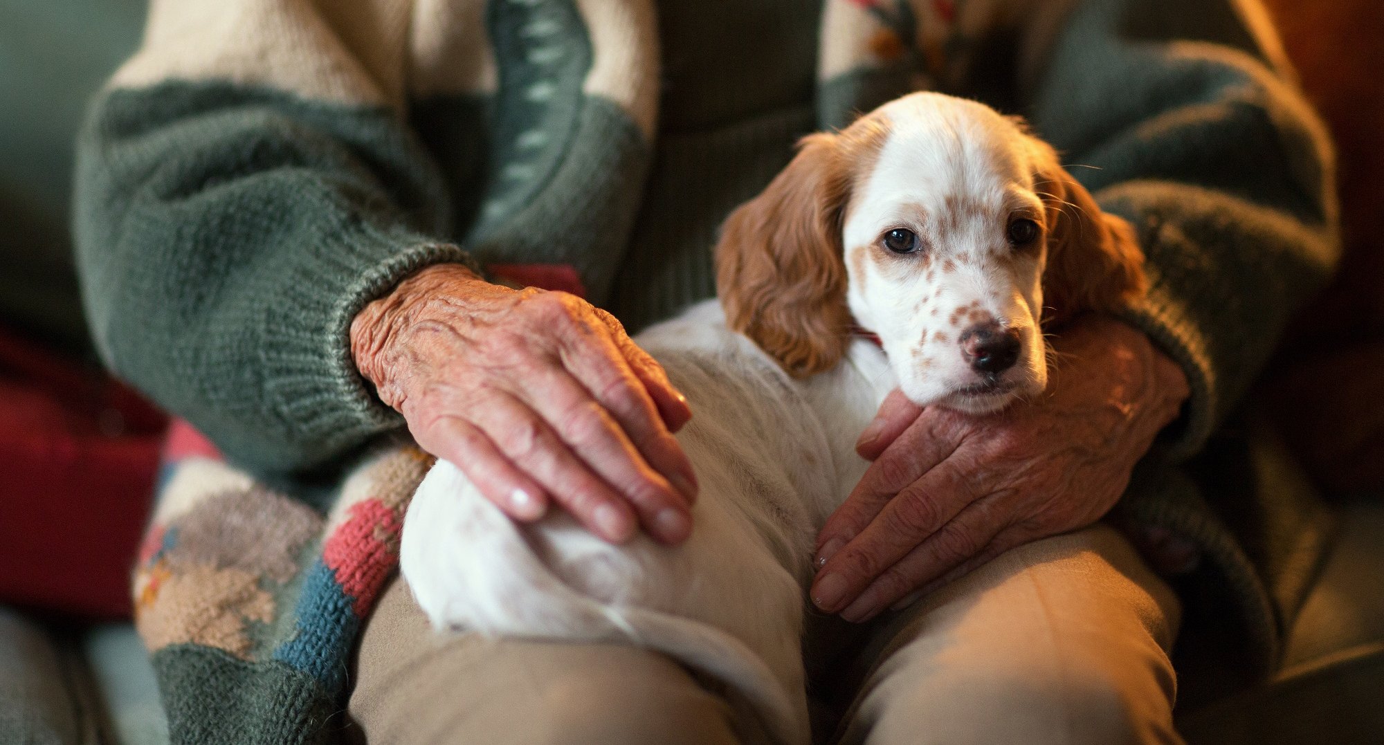 Senior women owning pet experience benefits