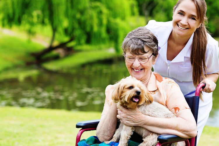 Older senior adult with daughter finds the best pet for her